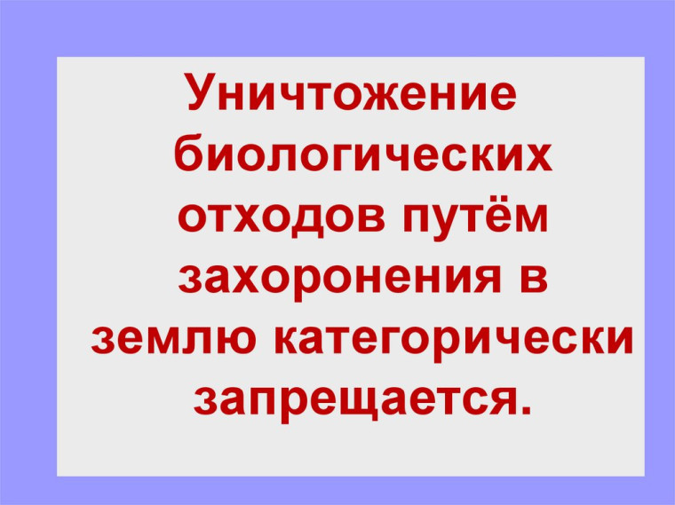 Владельцы животных и производители продуктов животноводства обязаны извещать специалистов в области ветеринарии обо всех случаях внезапного падежа или одновременного массового заболевания животных.