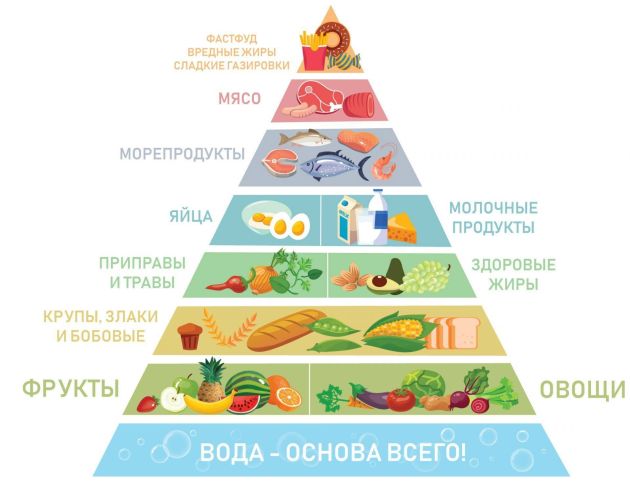 Интересно с ГТО: как выстроить режим питания.