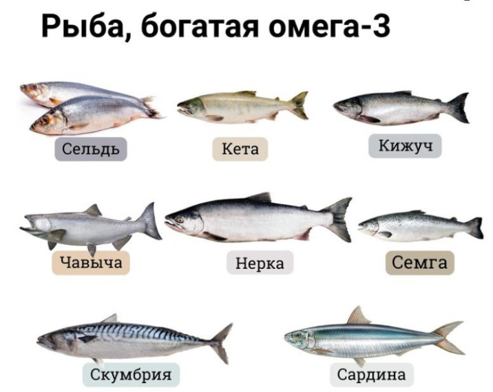 Интересно с ГТО: Какая рыба самая полезная?. Интересно с ГТО: Какая рыба самая полезная?.