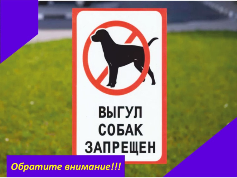 Вход на стадион с собаками любого вида и размера запрещён. Вход на стадион с собаками любого вида и размера запрещён.