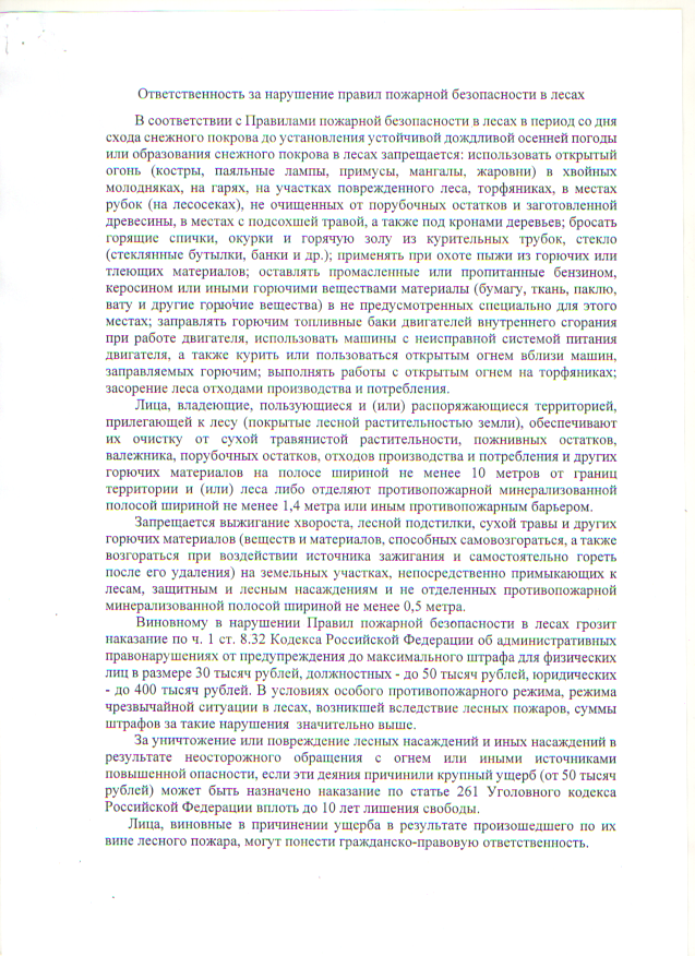 Ответственность за нарушение правил пожарной безопасности в лесах